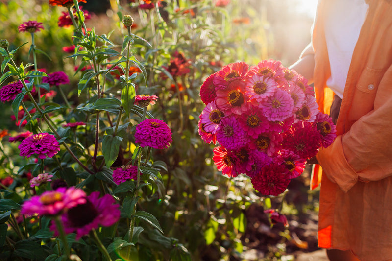 Les micro-organismes efficaces : des alliés vivants pour un jardin en pleine santé 🌱