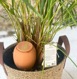 CérOya (Oya + perles de céramique EM®)