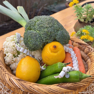 Céra'liment - serpentin de conservation pour Fruits et Légumes (20 perles de céramique EM)