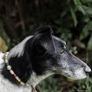 Kit Tiques et Puces (Céra'Nimo cuir + HE lavande Bio)