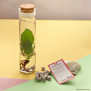 Perles de céramique EM® - Spécial Vases (15 perles)