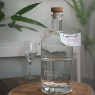 Carafe filtratnte , filtre à eau